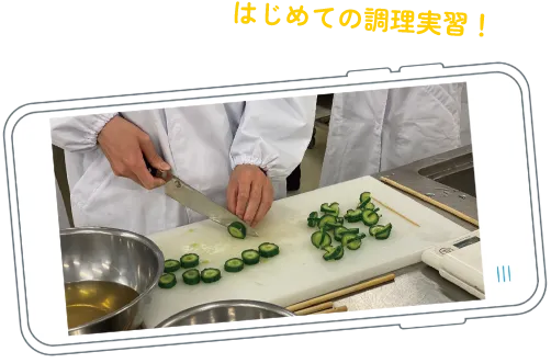 初めての調理実習!きゅうりを切っている画像
