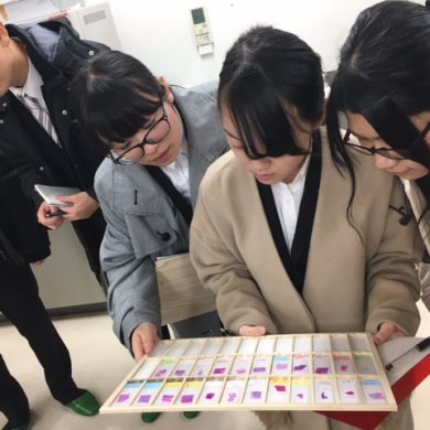 写真㈪