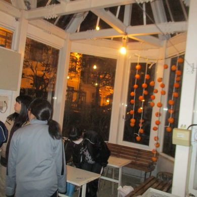 Hoshigaki18