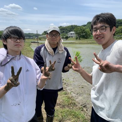 240526飯野町酒米田植え1